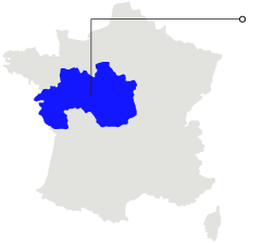 Domain Image